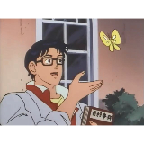 Is this a bird? meme template