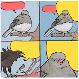 annoyed bird meme template