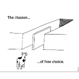 Illusion of free choice meme template