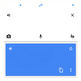 Google Translate meme template