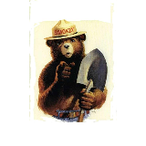 Smokey The Bear meme template