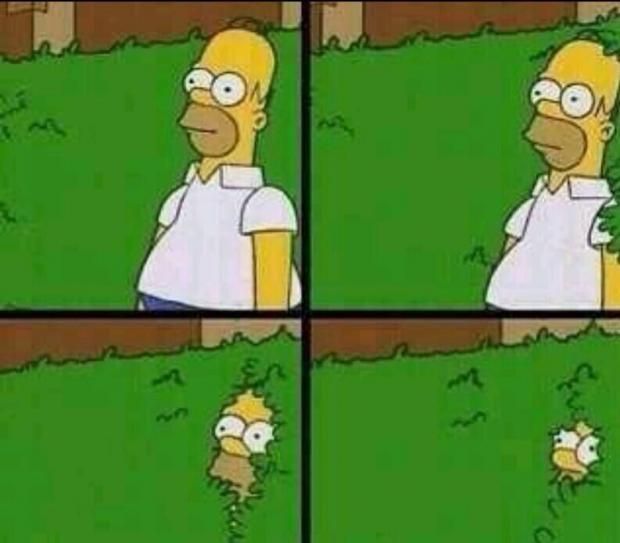 Homer Simpson in Bush - Large meme template