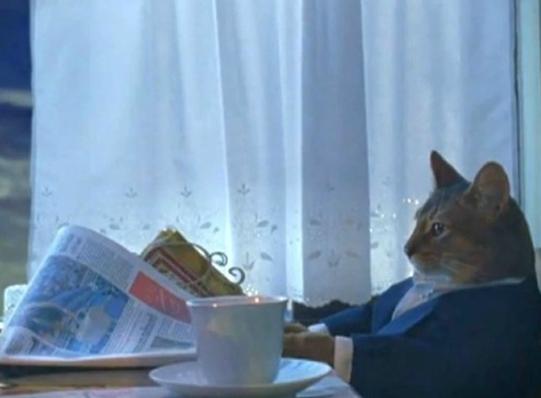 Cat newspaper meme template