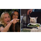 Angry lady cat meme template