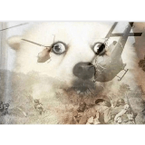 PTSD dog meme template