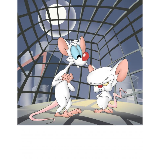 Pinky and the brain meme template