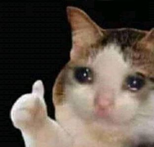 sad thumbs up cat meme template