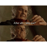 After all.. why not? meme template