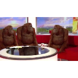 orangutan interview meme template