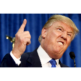 Donald Trump meme template