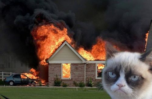 Burn Kitty meme template