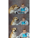 Dad Joke Dog meme template