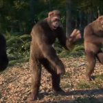 Dancing monkeys GIF Template meme template