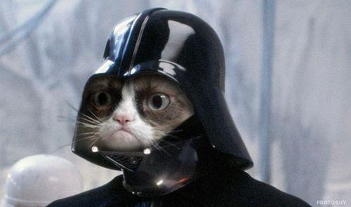 Grumpy Cat Star Wars meme template