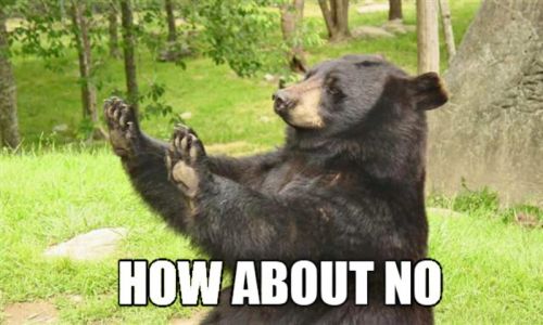 How About No Bear meme template
