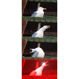 Inhaling Seagull meme template