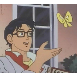 Is This A Pigeon meme template