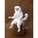 Persian Cat Room Guardian Single meme template